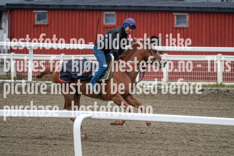 20240413-083928-DSC_0434