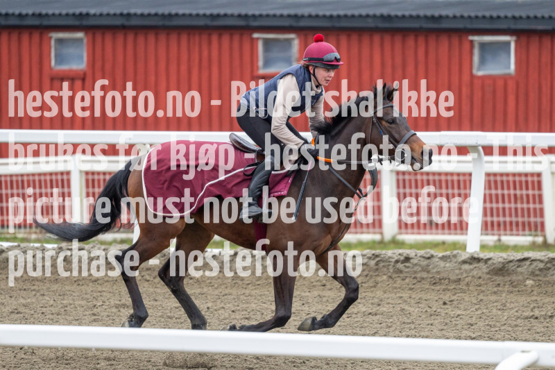 20240413-085124-DSC_0682