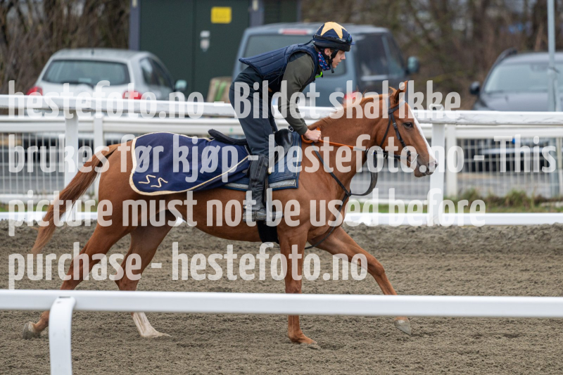 20240413-093923-DSC_1212