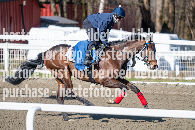 20240413-111953-DSC_2059