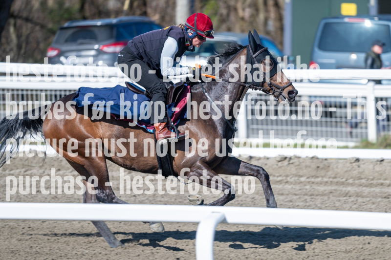 20240413-113027-DSC_2335