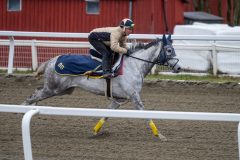 20240413-083839-DSC_0395
