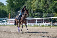 20220813-125509-DSC6879