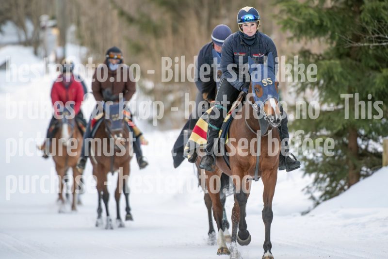 20250215-092136-DSC_8370
