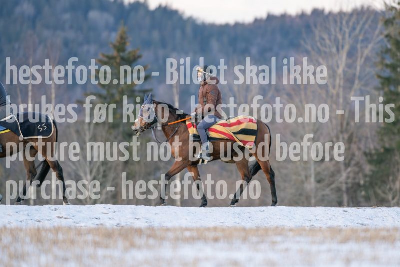 20250215-093844-DSC_8763