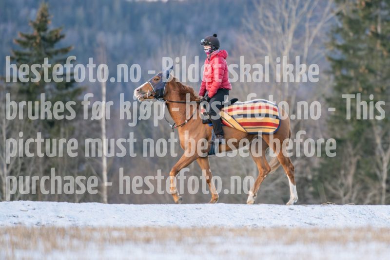 20250215-093845-DSC_8769