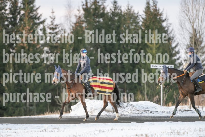 20250215-093858-DSC_8812