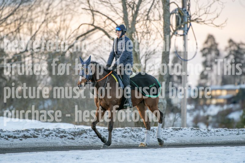 20250215-093914-DSC_8871