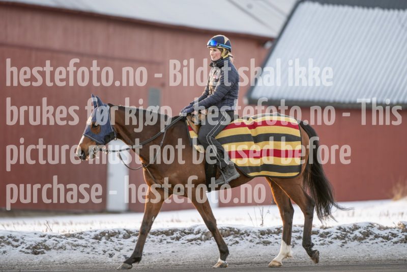 20250215-093919-DSC_8885