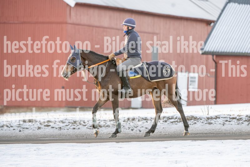 20250215-093922-DSC_8896