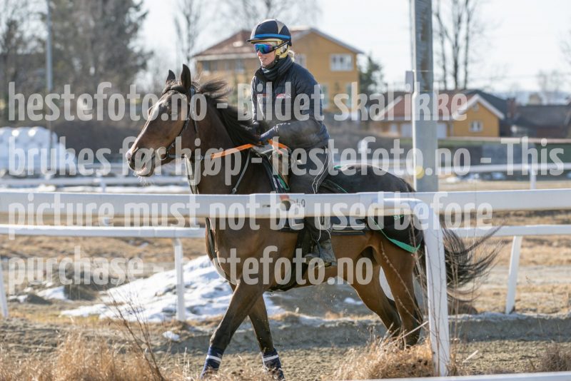 20250315-103630-DSC_2398