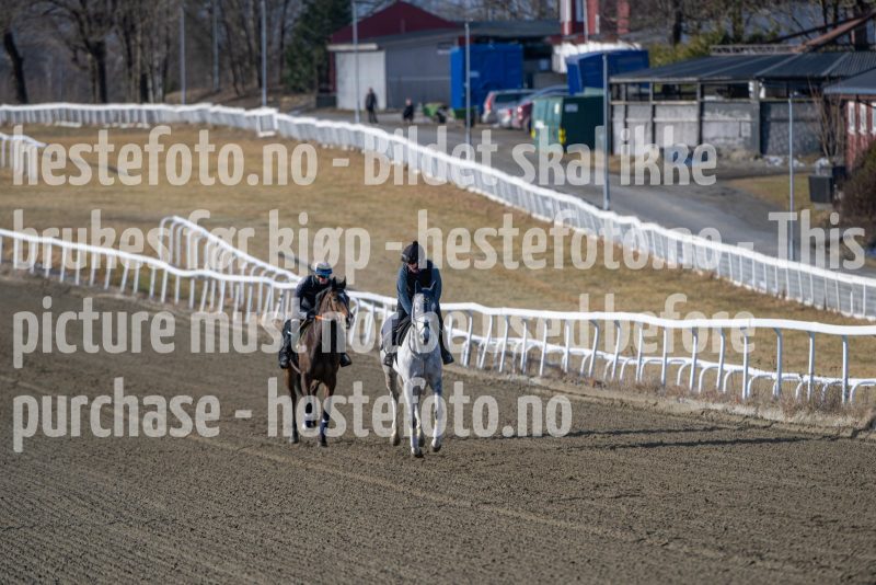 20250315-104039-DSC_2569