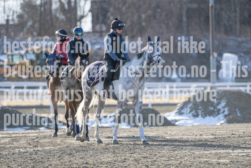 20250315-104623-DSC_3036