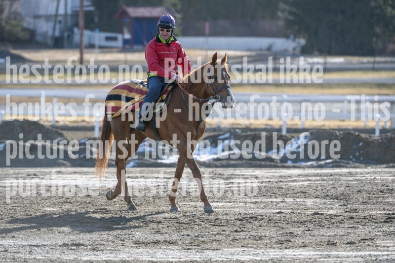 20250315-114420-DSC_3423