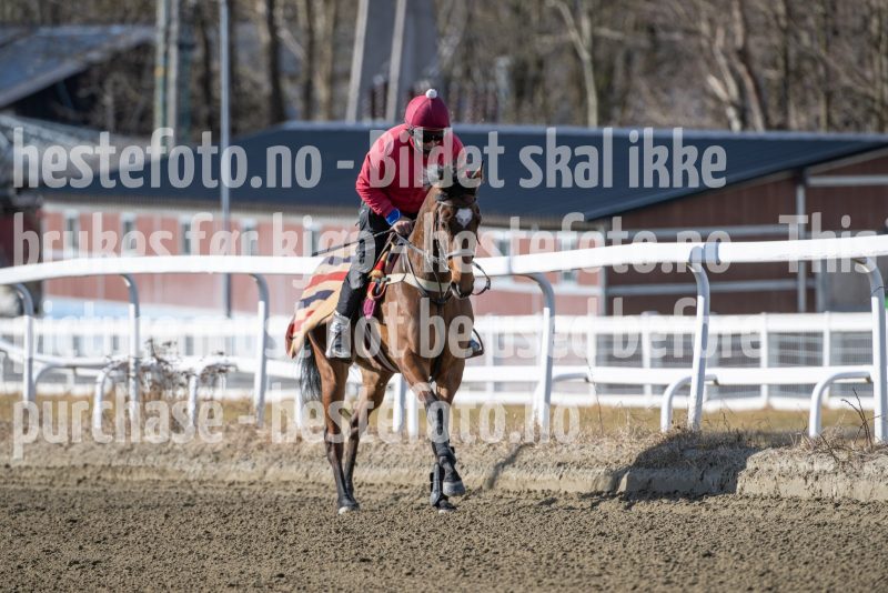 20250315-115145-DSC_3807