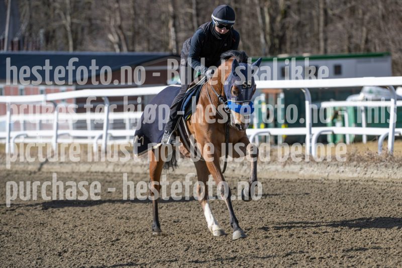 20250315-115236-DSC_3905
