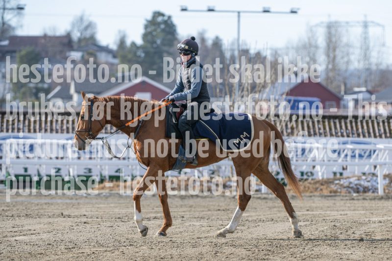 20250315-115502-DSC_3944