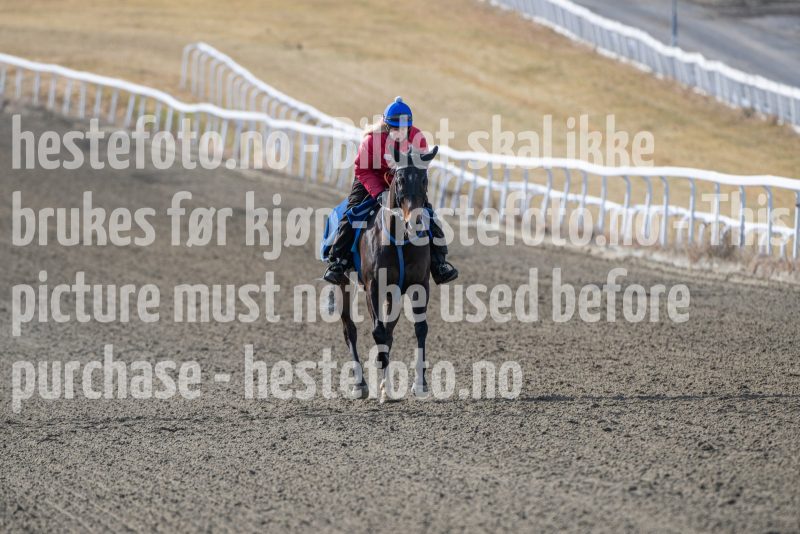 20250315-125521-DSC_4122