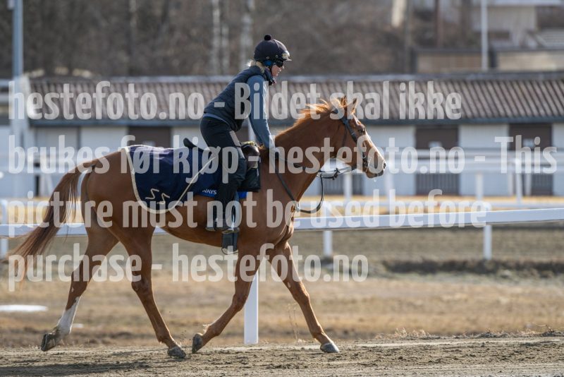 20250315-125737-DSC_4294