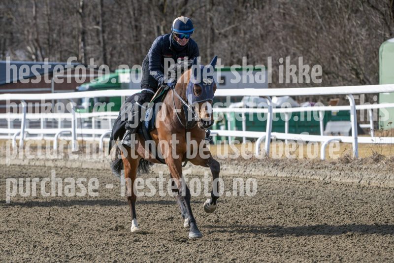 20250315-130057-DSC_4502