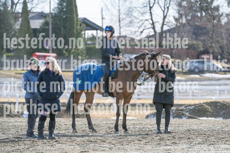 20250315-130654-DSC_4735