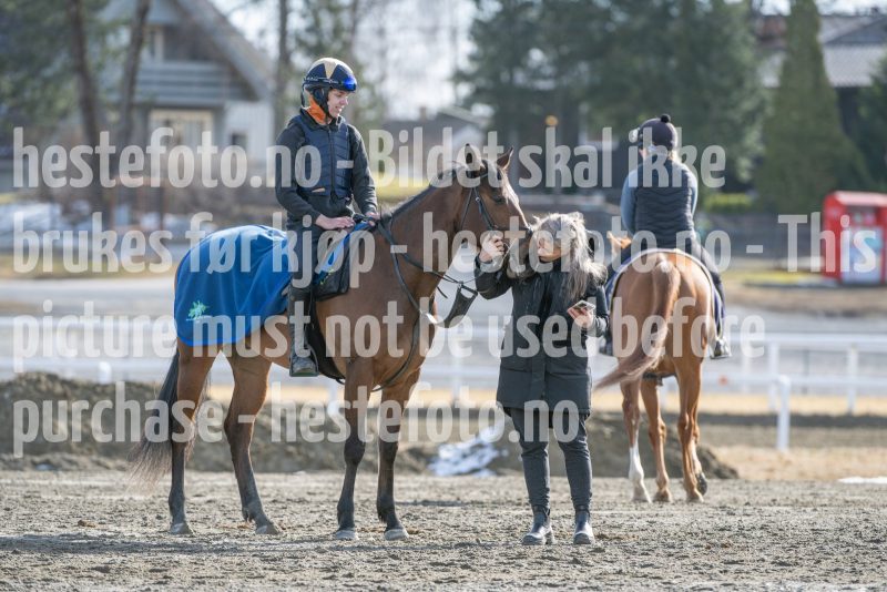 20250315-130814-DSC_4833