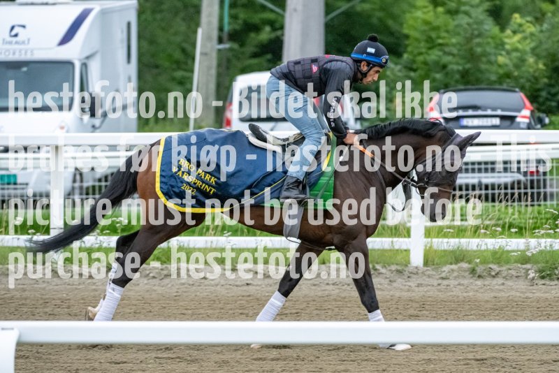 20230715-083503-DSC_2038