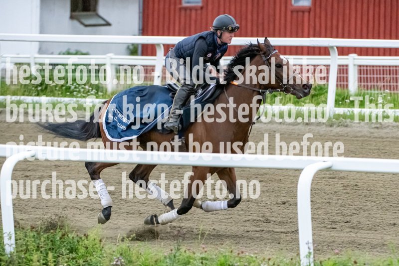 20230715-083536-DSC_2134