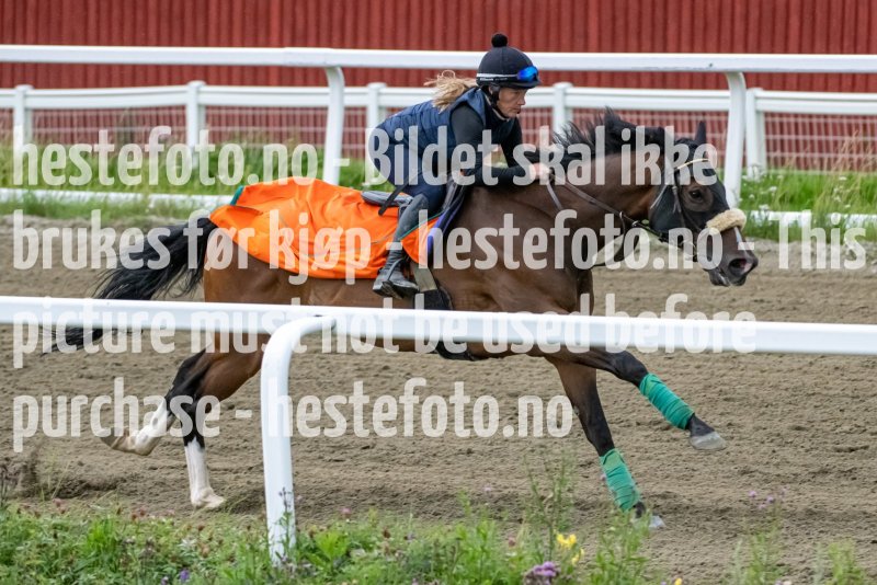 20230715-084124-DSC_2397