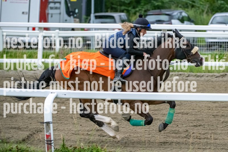 20230715-084124-DSC_2410