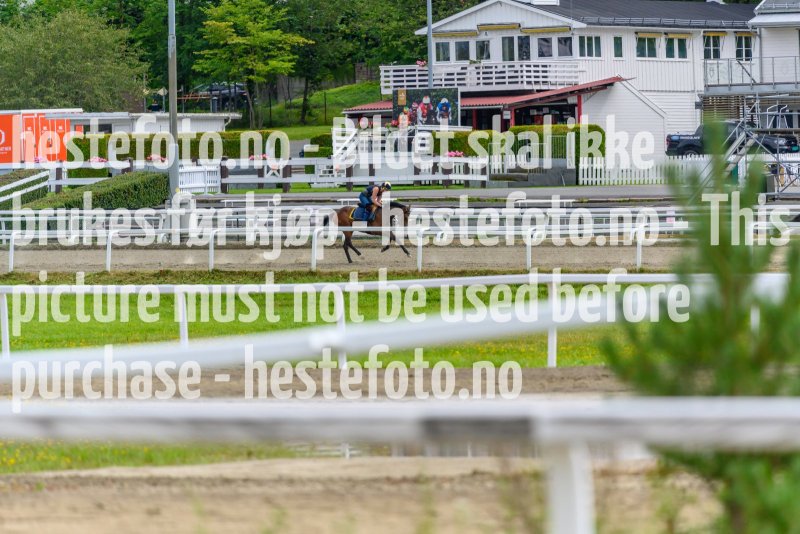 20210815-121725-DSC9047