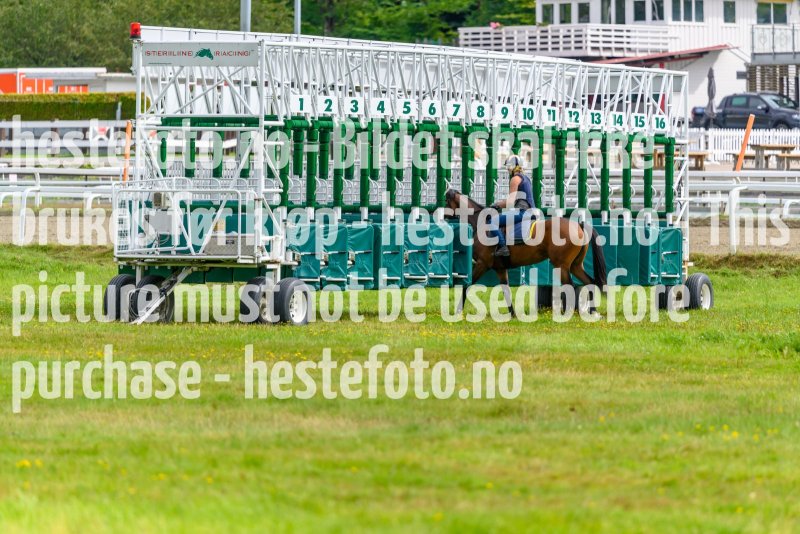20210815-122050-DSC9064