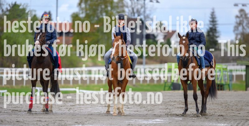 20210516-123442-3-amigos