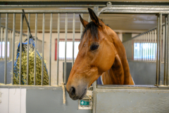 20210516-125507-DSC0327