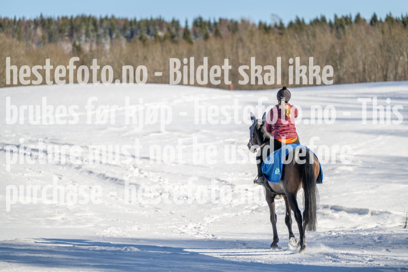 20240317-112617-DSC_9826