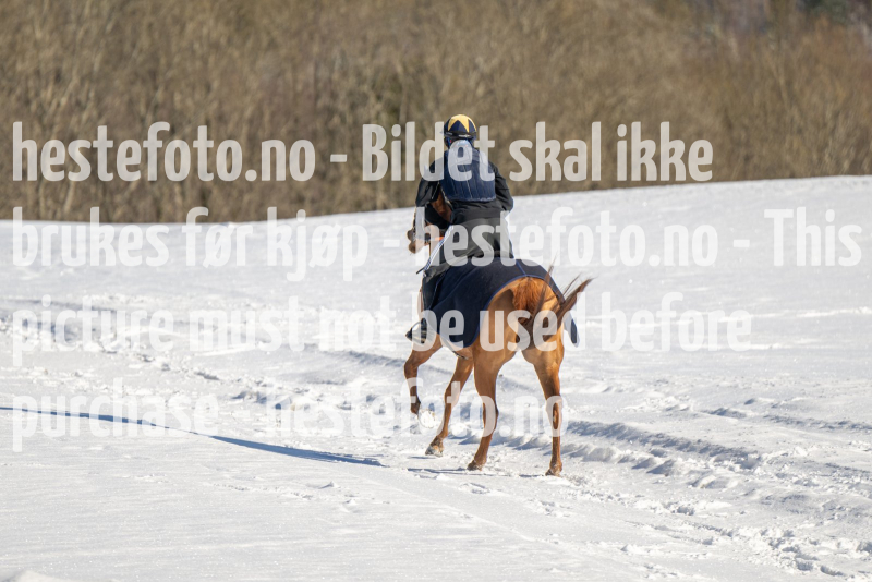 20240317-112637-DSC_9919