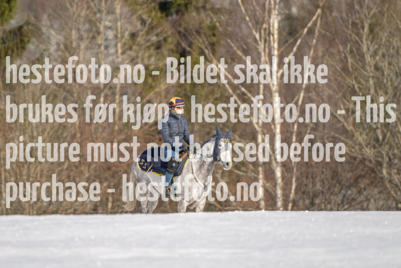 20240317-112857-DSC_0033