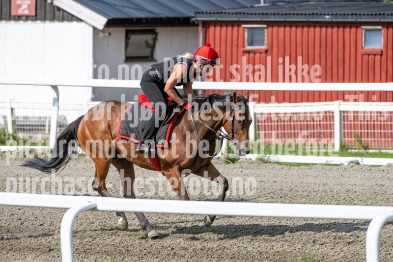 20240817-114117-DSC_9952