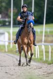 20240817-121910-DSC_0624