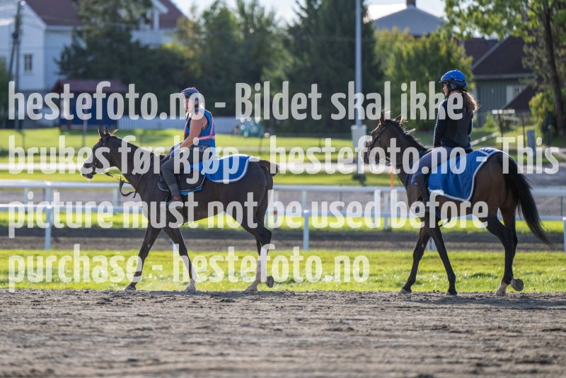 20220917-093636-DSC_3664