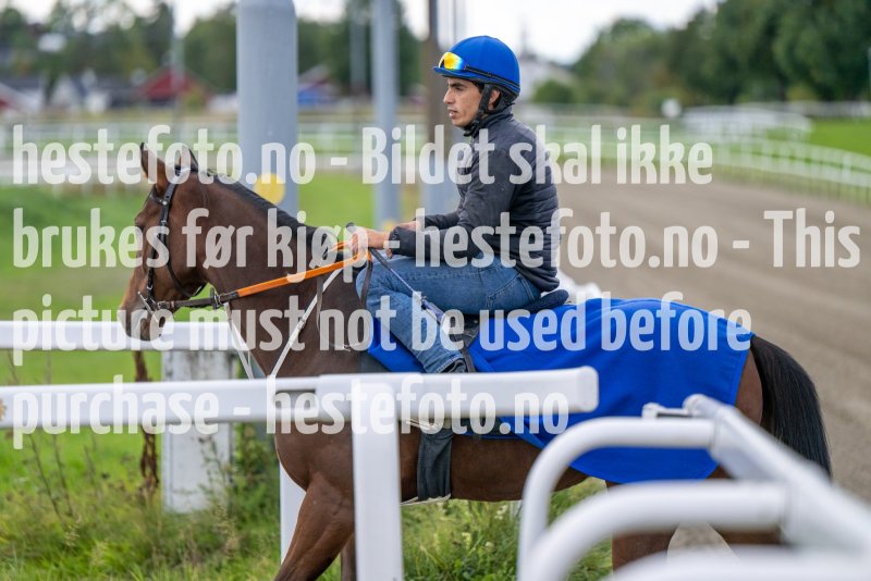 20220917-123058-DSC_4081