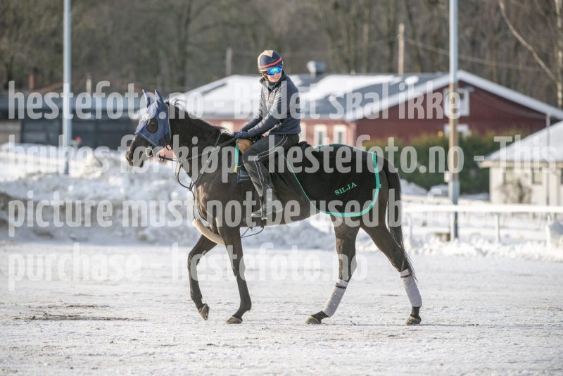 20250118-123809-DSC_5595
