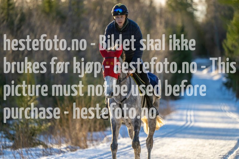 20230218-100257-DSC_7721