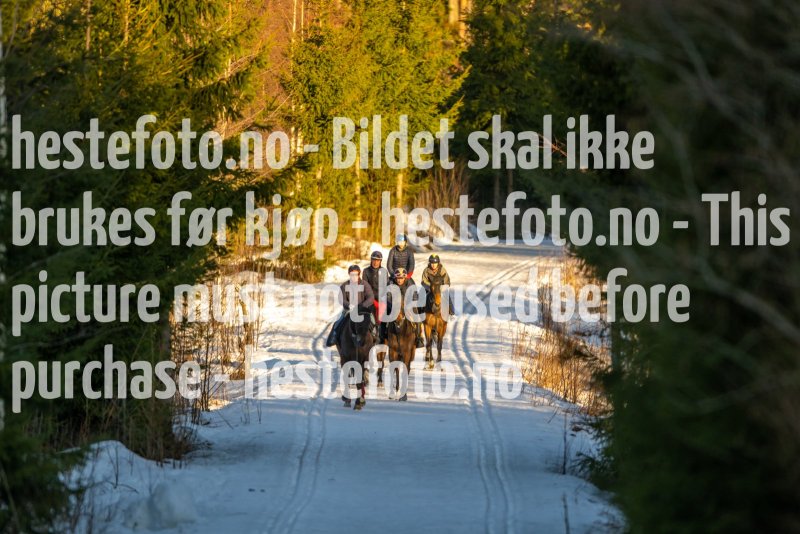 20230218-100830-DSC_7777