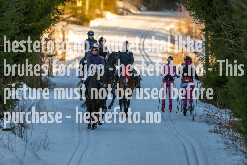 20230218-100904-DSC_7831