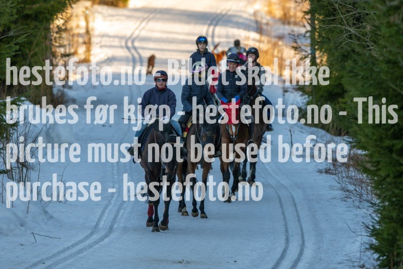 20230218-100917-DSC_7869