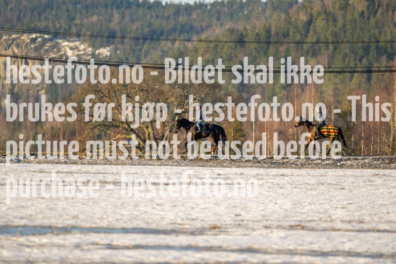 20230218-101756-DSC_8114