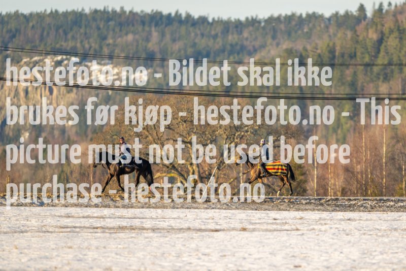 20230218-101758-DSC_8121