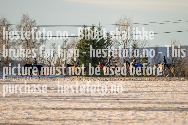 20230218-101817-DSC_8196