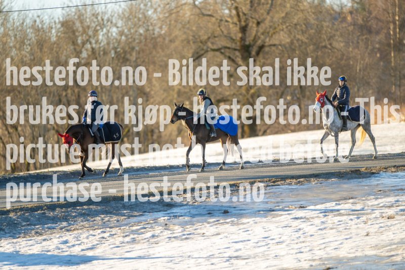 20230218-102026-DSC_8419